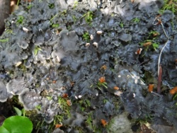 d18854b6-ecc4-4a33-96d5-980fdfb924db