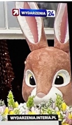 1cb69326-0ffe-455b-abfd-6b69e30ef692