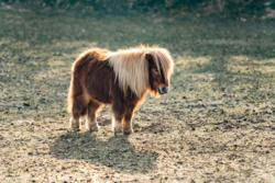 43177e9a-bbbe-4023-913e-840578f29856