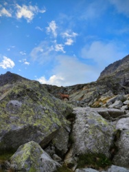 0d4ce80f-f582-425b-96c8-60963a7056a0