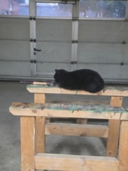 db819546-329e-45df-9ea1-2c8f37598ba8