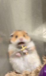 0a11eb87-4a39-4849-b179-15820676d369