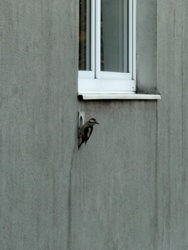 afc08d62-dd7d-42c1-93ac-df2ed9c85866