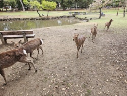 8c5c88f7-cf58-44bb-9888-0388244ad162