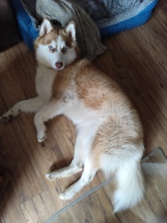 86b5f404-c22c-47ac-96ba-b00519a047d6