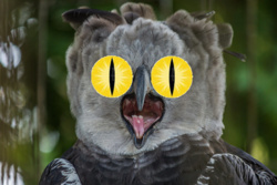 ab208953-6f00-4ce4-b1c4-314c3fb037c7