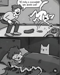 2e8e9db1-af05-4e91-a202-6d5e1fa2bbc0