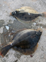 c620a6e6-a2d3-4d0a-bed6-7cd6b20922b1