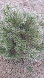 9569a12e-d0ea-499e-8c1b-e934cbb8c7a2