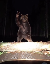 04d7239f-fffa-4c48-931f-cea5d00f5449