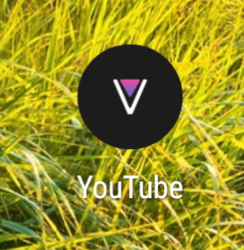 33c084ed-bf59-4438-9739-8c3339aa7ffc