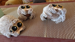 86fa01fd-3fbb-4402-a34a-7e41eb368294