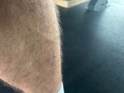 9e72bd19-4807-4ab6-9362-1dfa18beb6fe