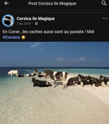 342ecde5-57b6-4eb9-b654-80312a5af256