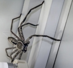 3e1ac47e-ecde-499d-9354-30078890a0c5