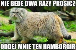 c394f0e3-b1f3-4bcc-9bad-e394e372bb79