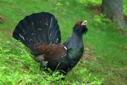 48a5c7ed-fa54-4fae-aa4d-c6e9222eef23