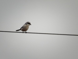 e3ba1c64-b490-4e08-8dbe-c10faab9367a