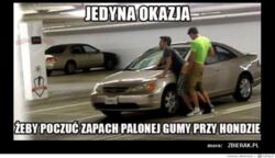 93dacb69-5cc8-431b-b391-79acd3776a6d