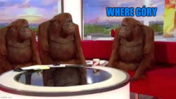 c66ccf6a-6f0a-4ad7-85ca-4168f09a7c40