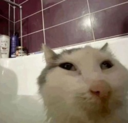 7264edbb-bdd4-4f78-81d0-1235b04fd779