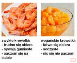 2da6ac33-5e8d-49d6-995b-c0557045c8c2