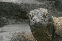 ae796a05-dd2f-457e-ab57-a29eeae655d8