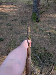 d241eb0d-91db-46a9-862d-1a5c69140582