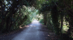 a0a0d89a-573d-4e20-96a5-d9656f82e06e