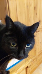 443f3211-f93c-4a4e-8d21-b295b5fb23a4