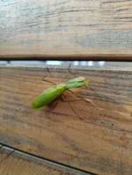 279477d0-04a4-481f-9fb6-543ead5bf217