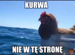 fee58469-fb55-458b-8f27-3a8c711828f7