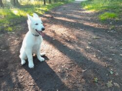 98b5cb96-8798-4c94-bf7c-621bb26c59ea