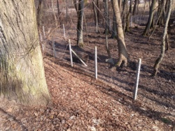 dfce61c2-c552-403a-b78e-82948b93a674