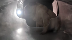 11c52e59-2e7a-4e59-a3f6-76c3ebcae5e0