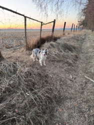 65fe94b1-b9c4-4b36-8bbf-57b8fa383b2c