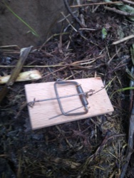 d568fdd0-1950-41e6-87ea-62d47fb23992