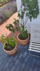 7a4b9426-2187-41b6-a67f-fbb0895dcc59