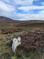 0c398879-8051-4350-8b89-1bbe2afd26a6