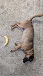 484b40de-7adb-47ed-be8b-b09763aa9a7b