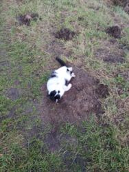 e7c294f3-6946-4fdd-b0aa-1f38ca455532