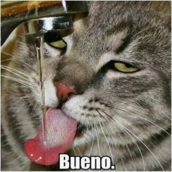 9feedea2-f446-4537-aefc-6b3de65920e1