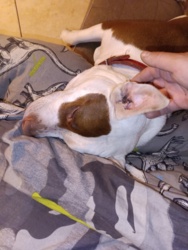 d6a789fe-a3a8-400d-b1ae-bc83343a8836