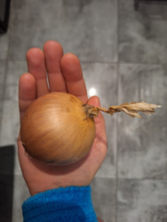 ed632c53-642f-4e72-bd43-3bb4b061672d