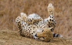 4bec269d-08c6-48cc-b86f-62e1cb56e249