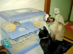 f3500e79-6462-4f64-9ee1-9a64eb1e3191