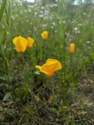 f74560c0-d75f-4625-9e00-01c5797664a8