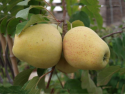 b4a8007d-1972-4111-b543-3f16b40c3c75