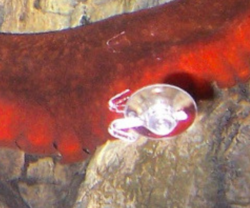 efac1898-2dd4-4d4b-832d-033944638490