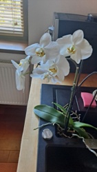 7c62d5f2-a2dc-47b8-9be8-26aa7922850d